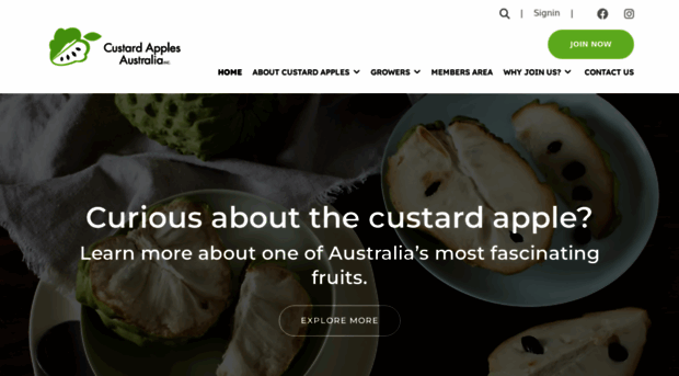 custardapple.com.au