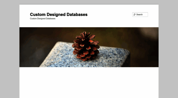 custom-designed-databases.com