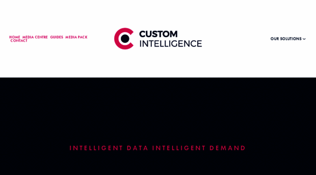 custom-intelligence.com