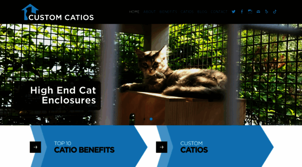 customcatios.com