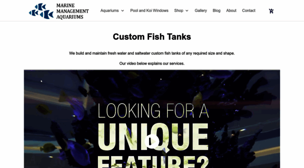 customfishtanks.co.za