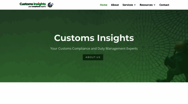 customsinsights.co.uk