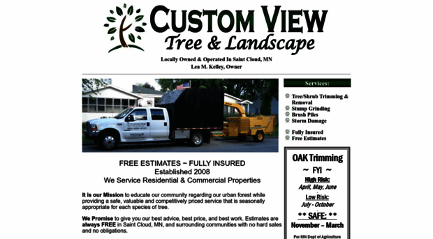 customviewmn.com