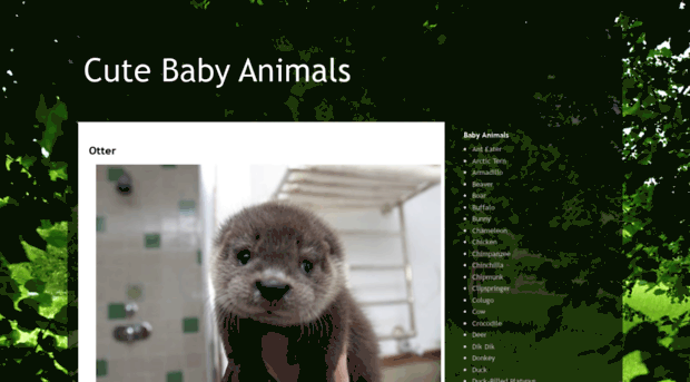 cute-baby-animals.com