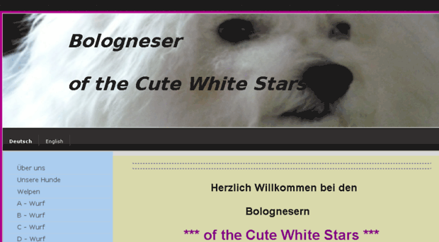 cute-white-stars.de
