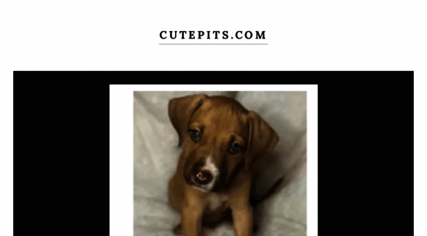 cutepits.com