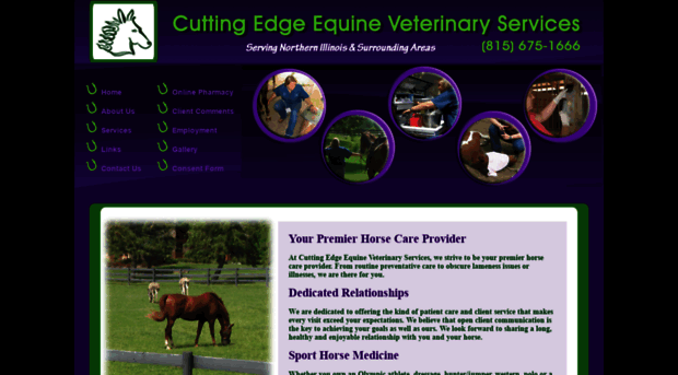 cuttingedgeequinevet.com