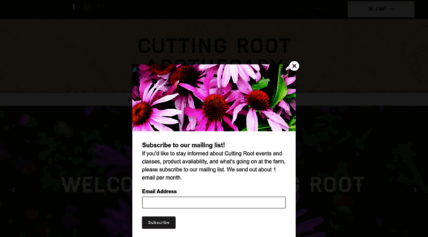 cuttingroot.com