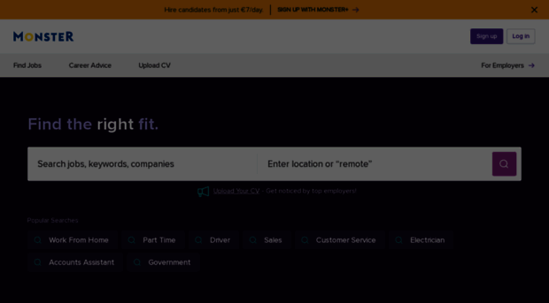 cv.monster.ie