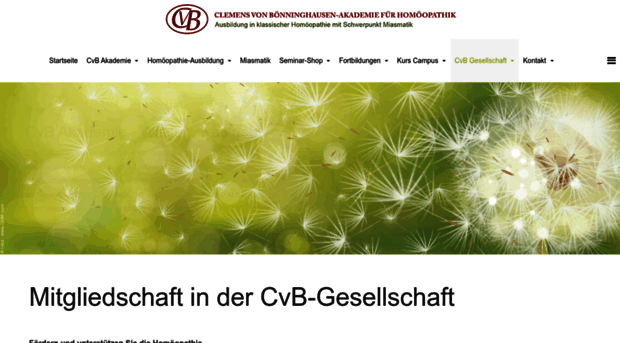 cvb-gesellschaft.de