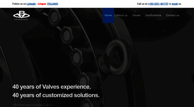 cvbvalves.com