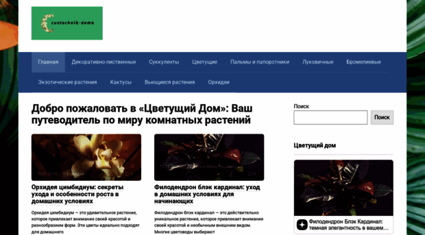 cvetochnik-doma.ru