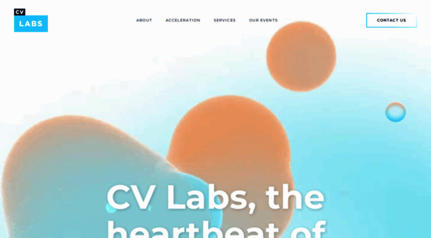 cvlabs.com