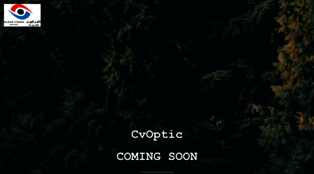 cvoptic.com