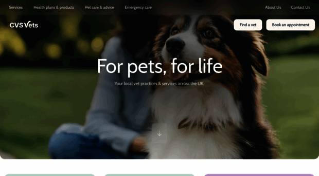 cvsvets.com