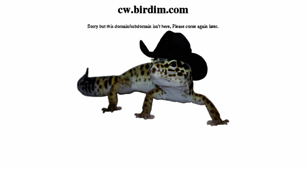 cw.birdim.com