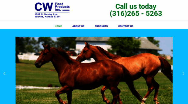 cwfeedwichita.com