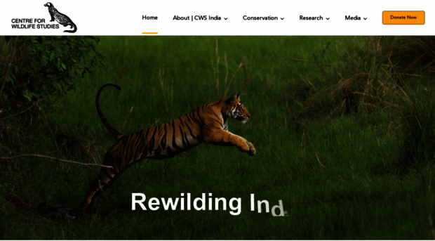 cwsindia.org