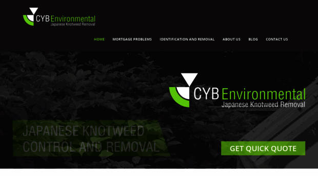 cyb-environmental.com