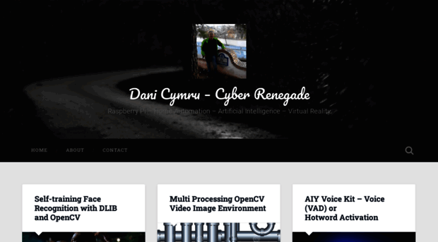 cyber-renegade.org