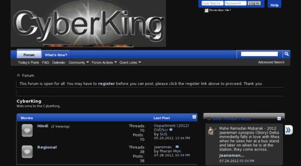 cyberking.org