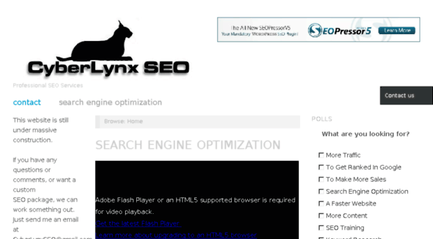 cyberlynxseo.com