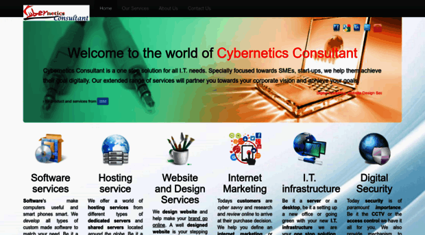 cyberneticsconsultant.com