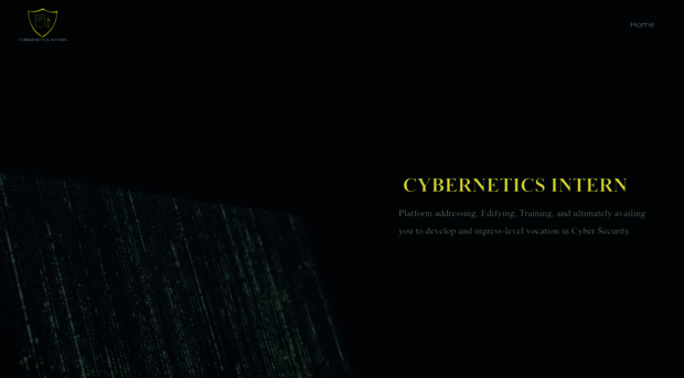 cyberneticsintern.com