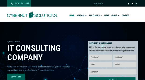 cybernutsolutions.com