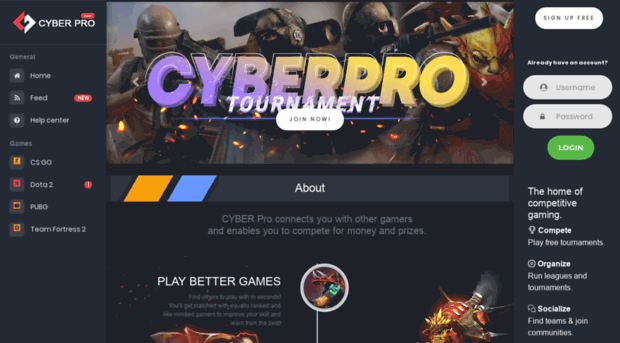 cyberprogame.com