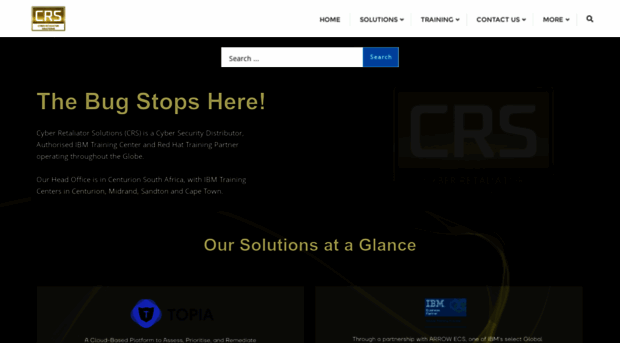 cyberretaliatorsolutions.com