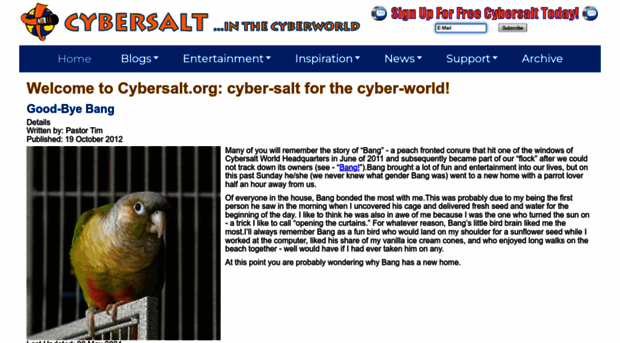 cybersalt.org