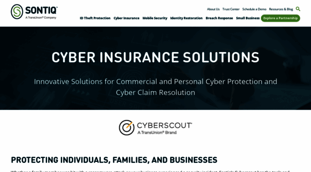 cyberscout.com