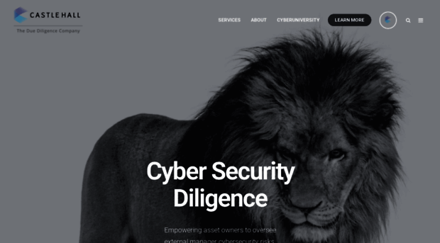 cybersecuritydiligence.com