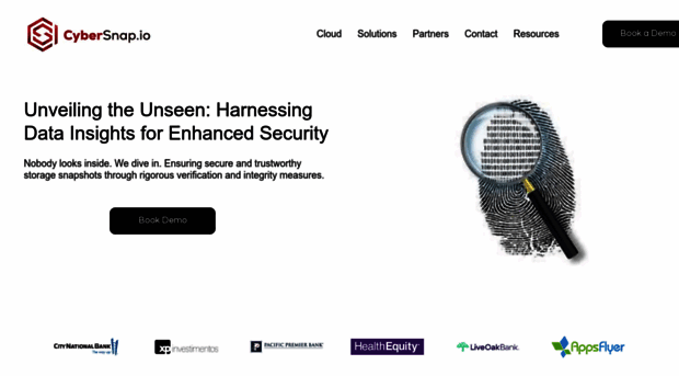 cybersnap.io