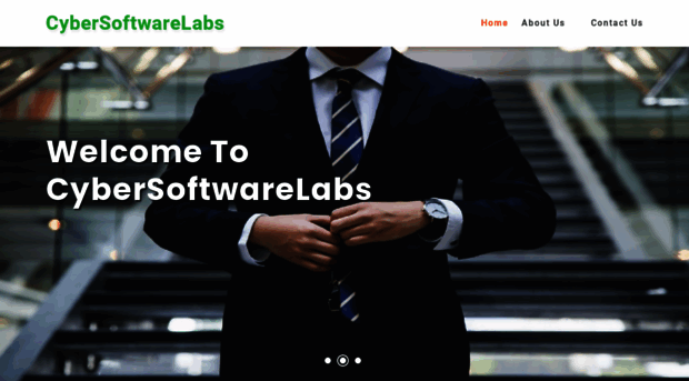 cybersoftwarelabs.com