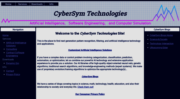 cybersym.com