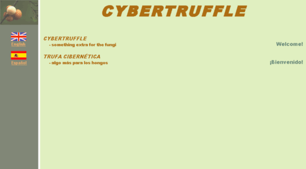 cybertruffle.org.uk