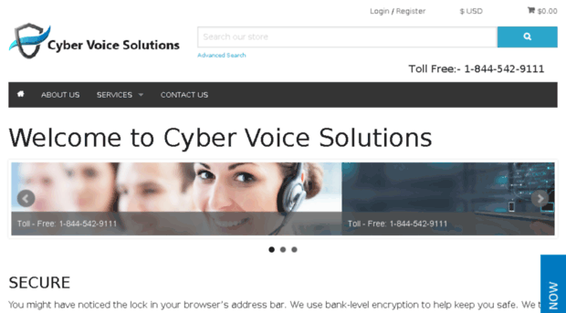 cybervoicesolutions.online