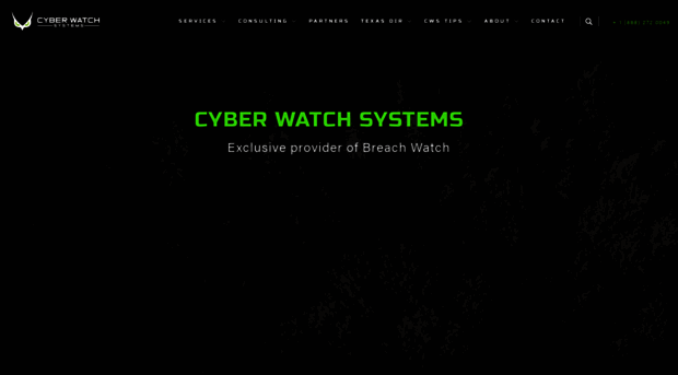 cyberwatchsystems.com