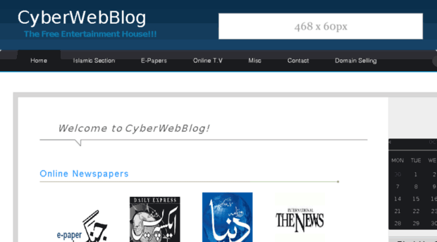 cyberwebblog.com