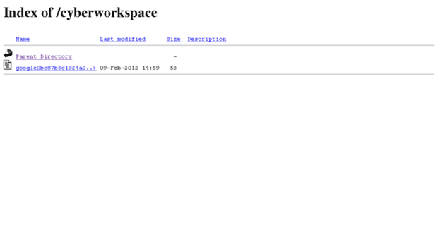 cyberworkspace.com