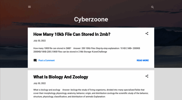 cyberzoone.blogspot.com