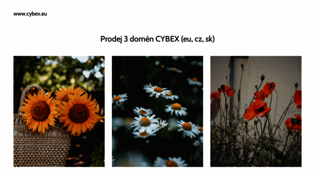 cybex.cz