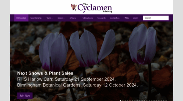 cyclamen.org