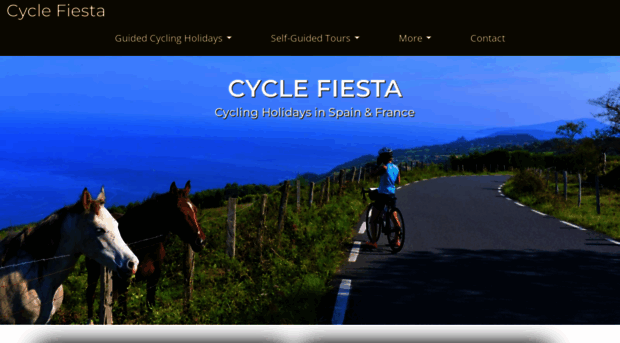 cyclefiesta.com