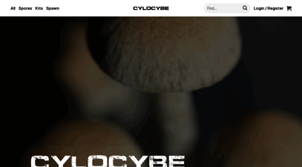 cylocybe.com