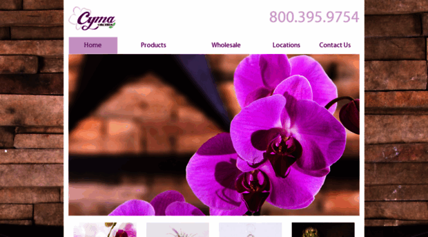 cymaorchids.com