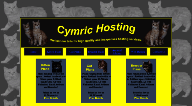 cymrichosting.com