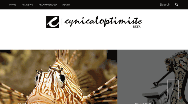 cynicaloptimiste.com